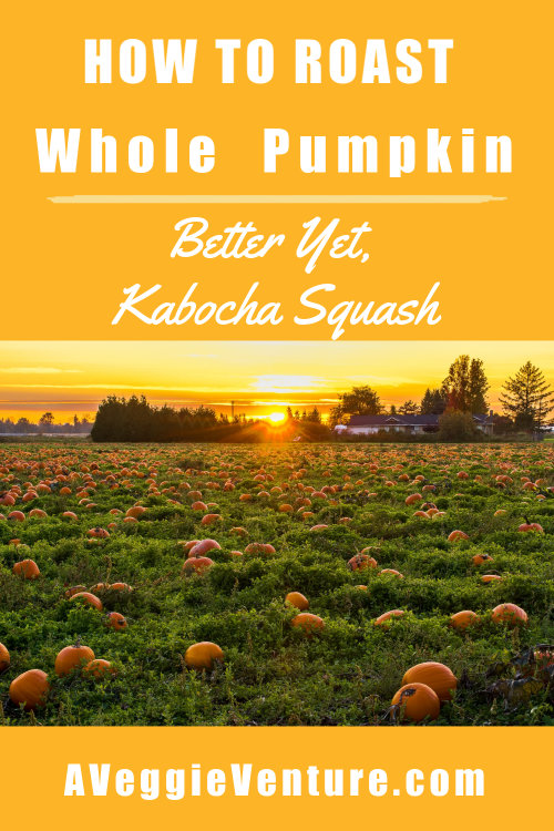 How to Roast a Whole Pumpkin (or Better Yet, Kabocha Squash)  ♥ AVeggieVenture.com
