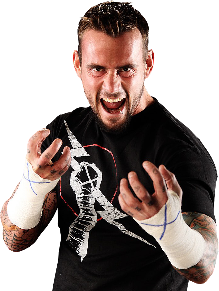 indian-official-channel-of-wwe-cm-punk-theme-song