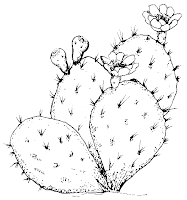 Flower Coloring Pages