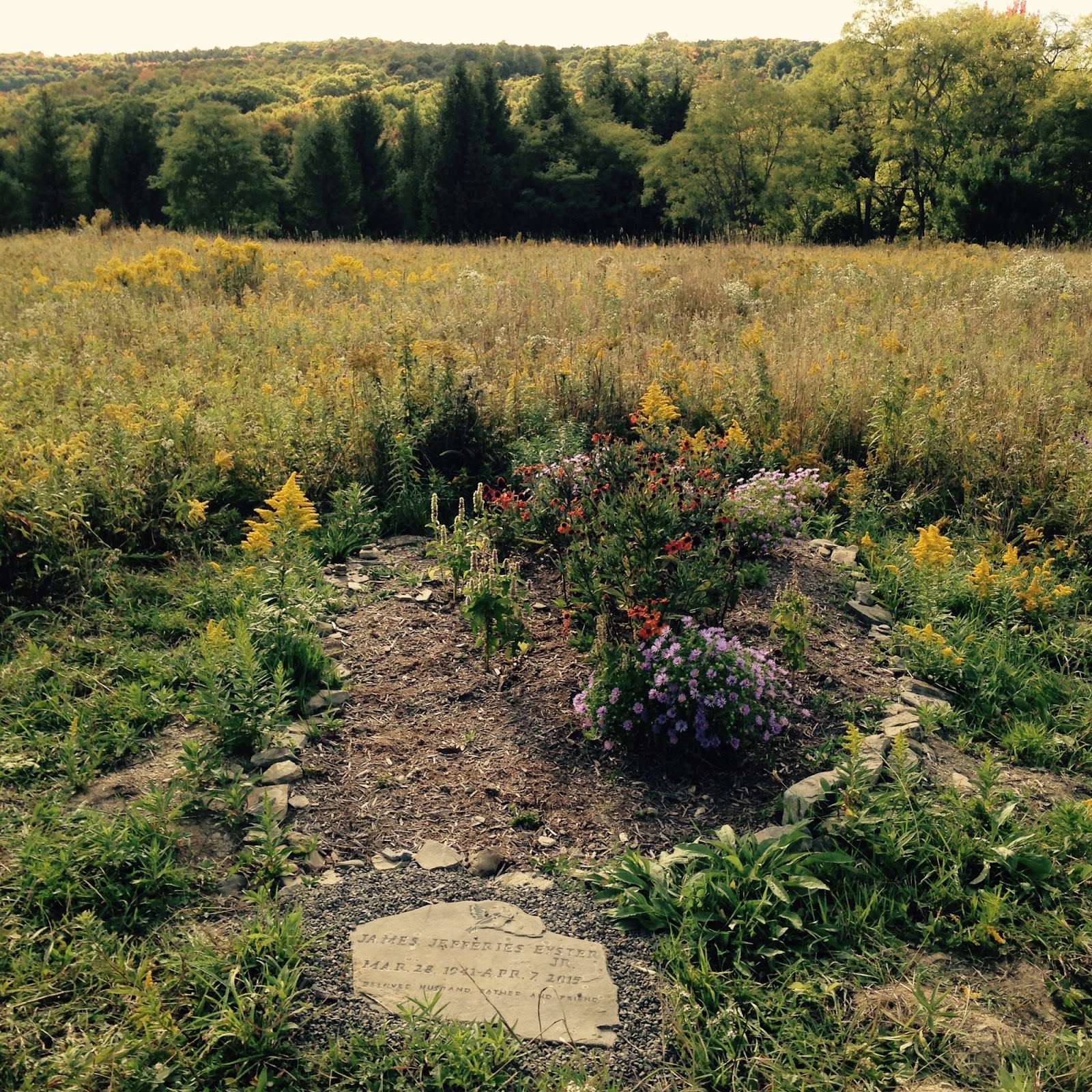 FINISHING TOUCHES GREENSPRINGS NATURAL CEMETERY PRESERVE