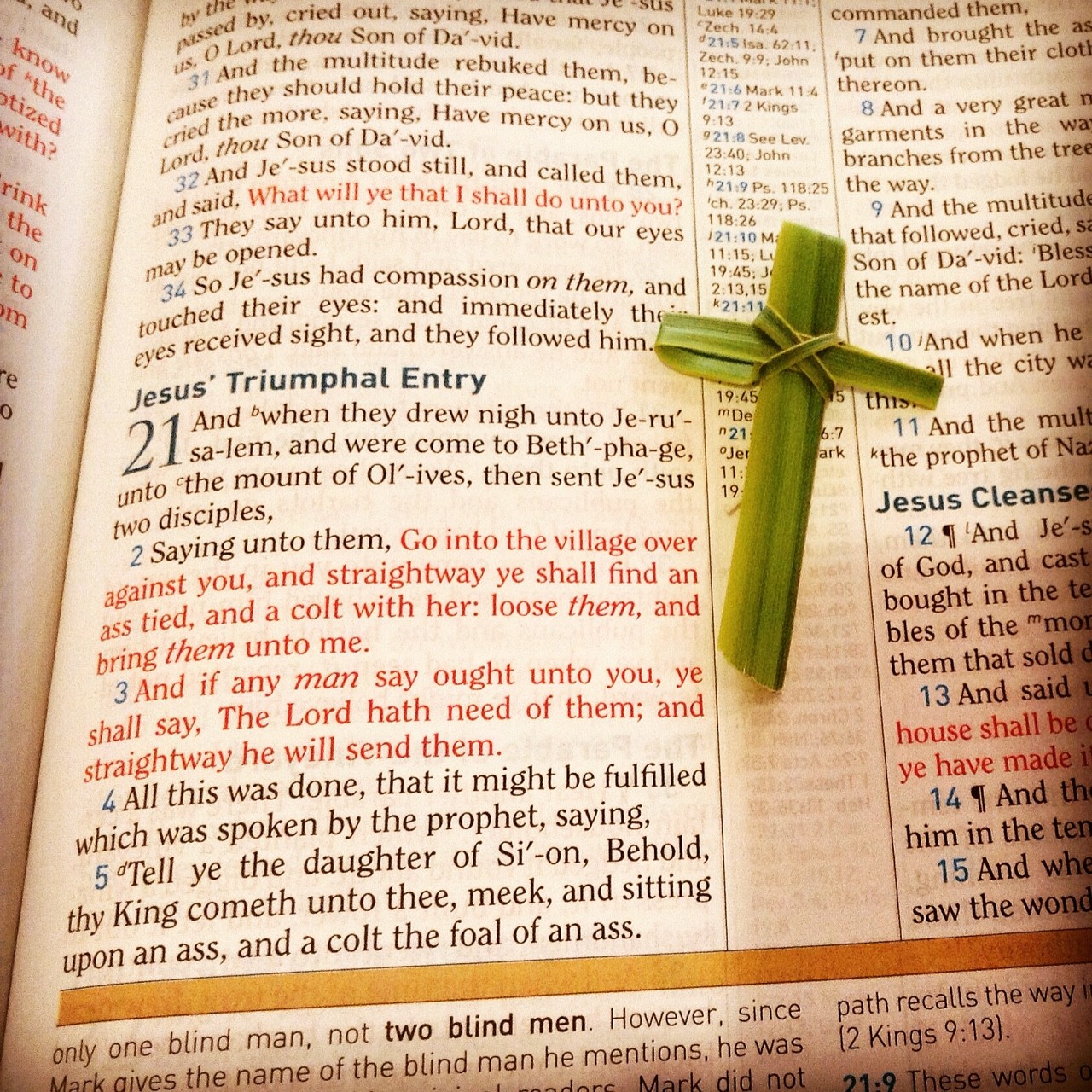 Little Birdie Blessings