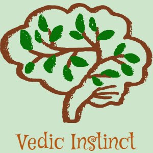 Vedic instinct