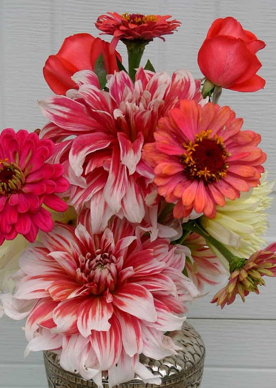 GIANT DINNER PLATE DAHLIAS IN ARRANGEMENTS - Sowing the Seeds