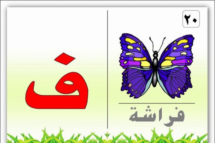 CC5FF5C6-4ACC-41D5-B2FD-9F6F814BD09A.jpe
