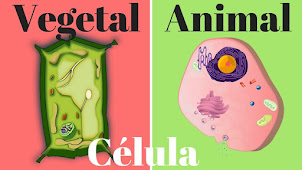 celula vegetal y animal