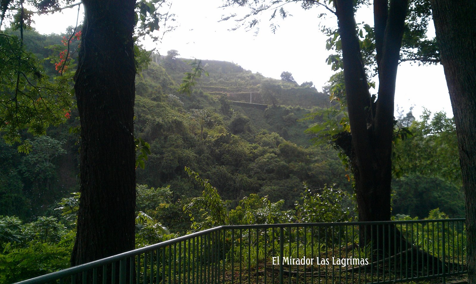 Naranjito El Mirador Las Lagrimas