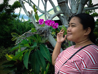 Woman Traveler Thin Smiling Beside Purple Orchid Flower Plant In The Garden North Bali Indonesia