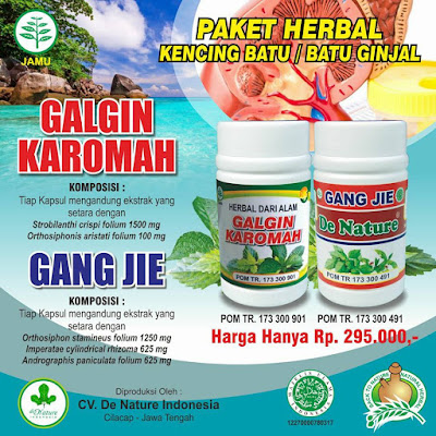 OBAT BATU GINJAL