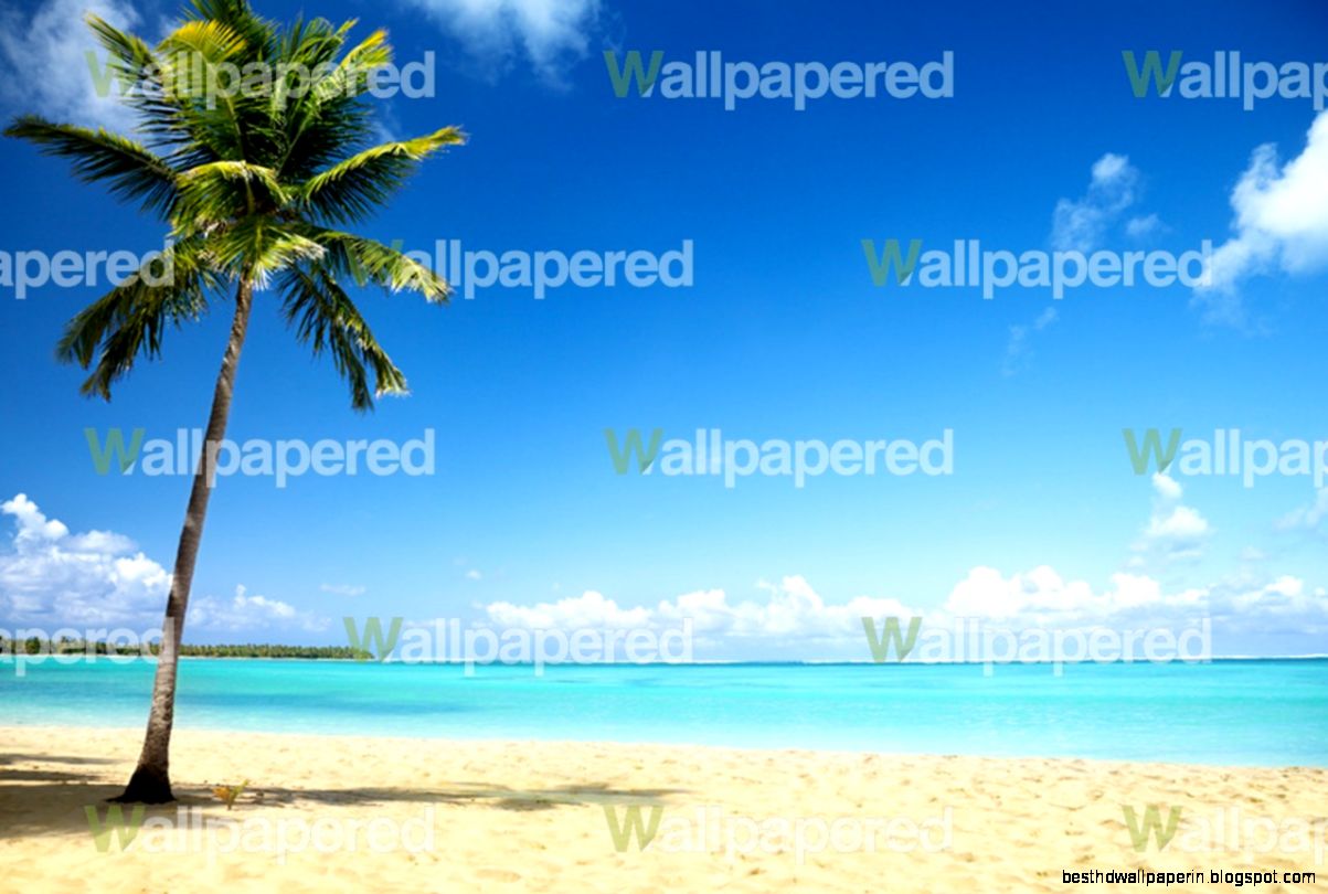 Beach wall mural Beach Photographic Wallpaper for Walls