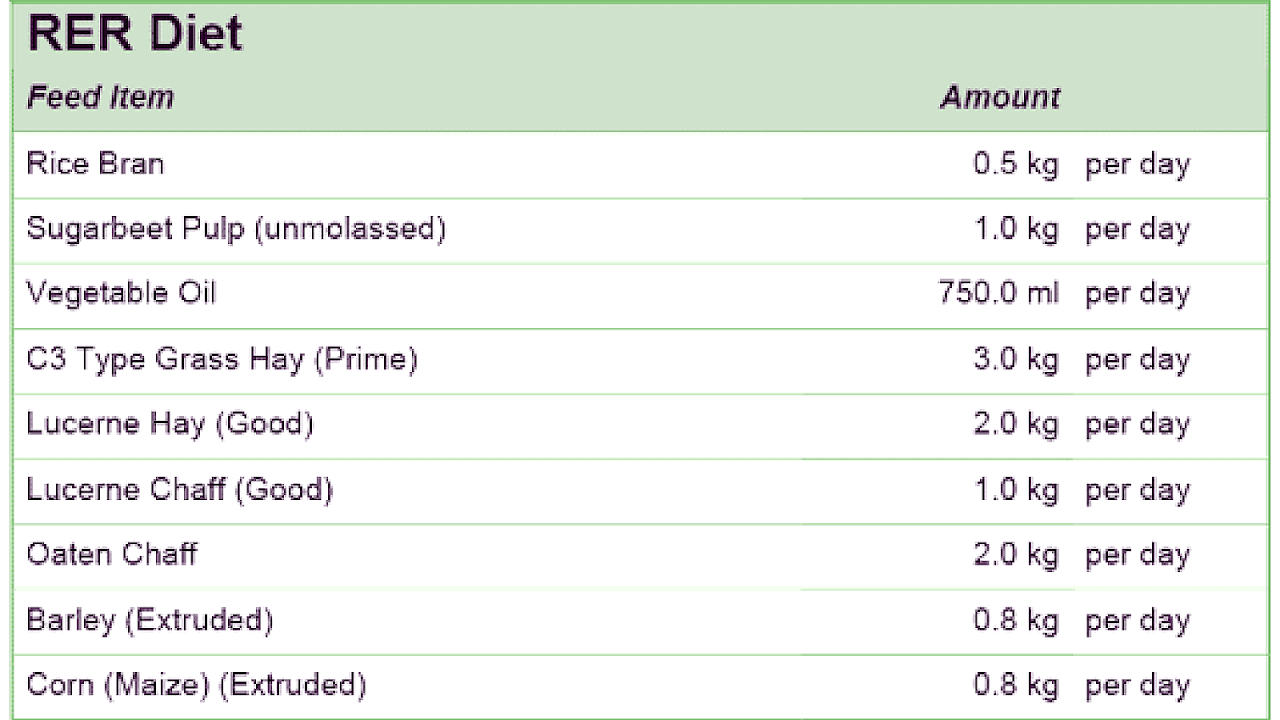 Equine nutrition Horse Diet Horse Choices