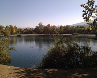 Pond with ducks, clear blue sky, and distant hills.