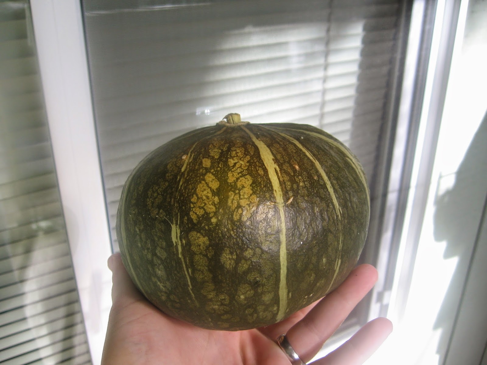 Nilla the Foodie! Roasted Buttercup Squash