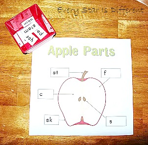 Fall Harvest Week 1: Apples - Every Star Is Different