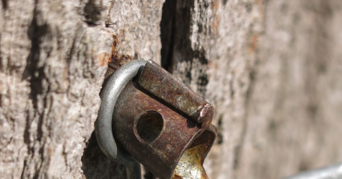 Kalamazoo Seasons Maple Syrup Season 2019