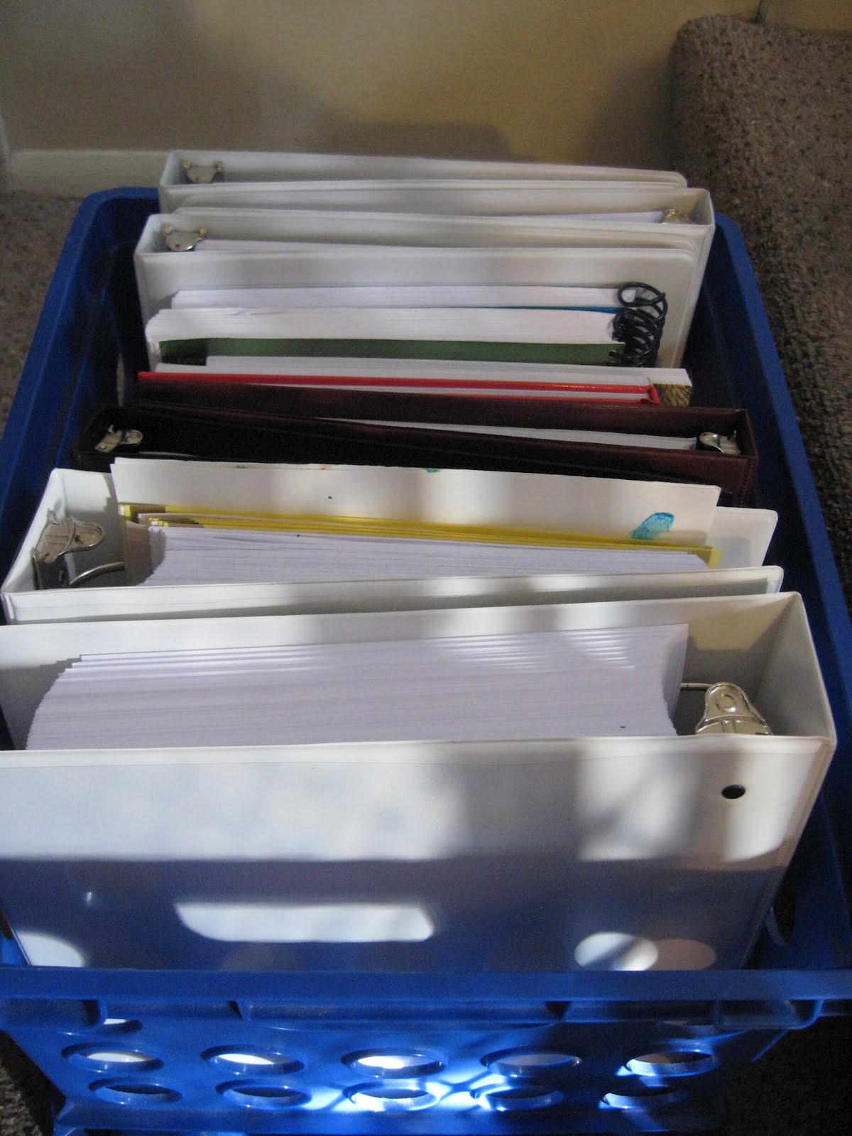 Tales of a Hobby Hopper Desk Apprentice and What our day looks like