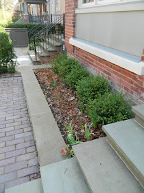 Summerhill Toronto spring front yard garden cleanup before by Paul Jung Gardening Services