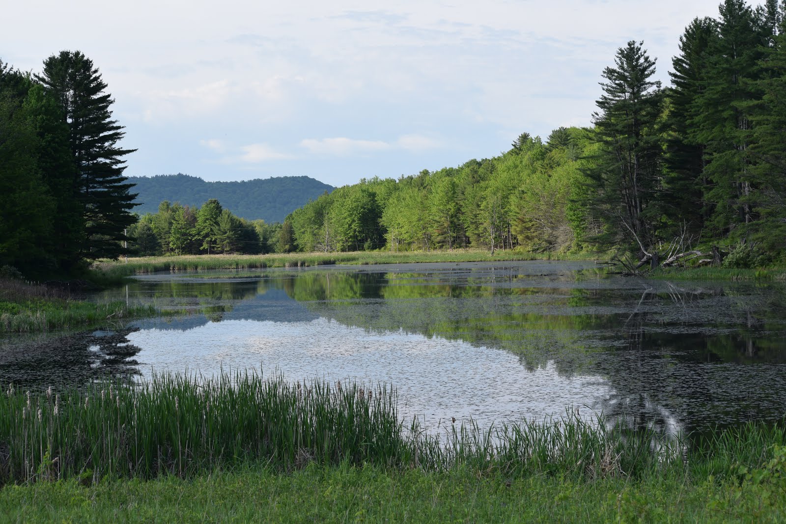 Jericho, Vermont Photos Pond in Jericho