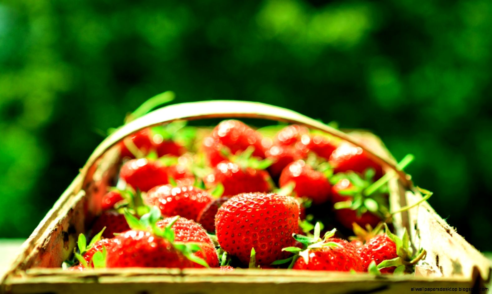 Strawberry Basket Berries Macro Hd Wallpaper