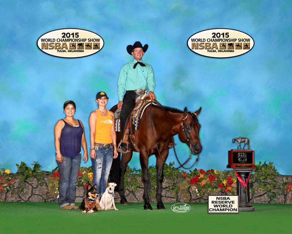 Just a Dream Quarter Horses Breeding A great stallion