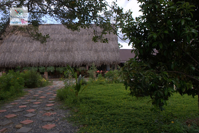 Forest Call Lodge, Nam Cat Tien