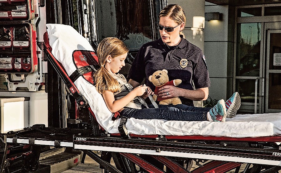 EMS SOLUTIONS INTERNATIONAL marca registrada Safe Transport of