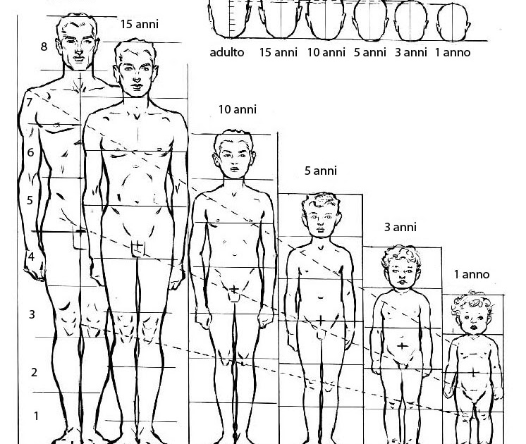 Come Disegnare La Figura Del Corpo Umano