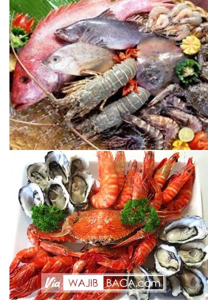 Sebaiknya Anda Perbanyak Konsumsi Beberapa Makanan Ini Untuk Menghilangkan Panas Dalam Sebaiknya Anda Perbanyak Konsumsi Beberapa Makanan Ini Untuk Menghilangkan Panas Dalam