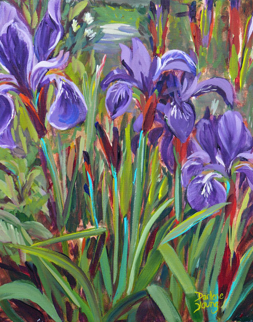 Darlene Young Canadian Artist: Irises, avcrylic on canvas, 11x14