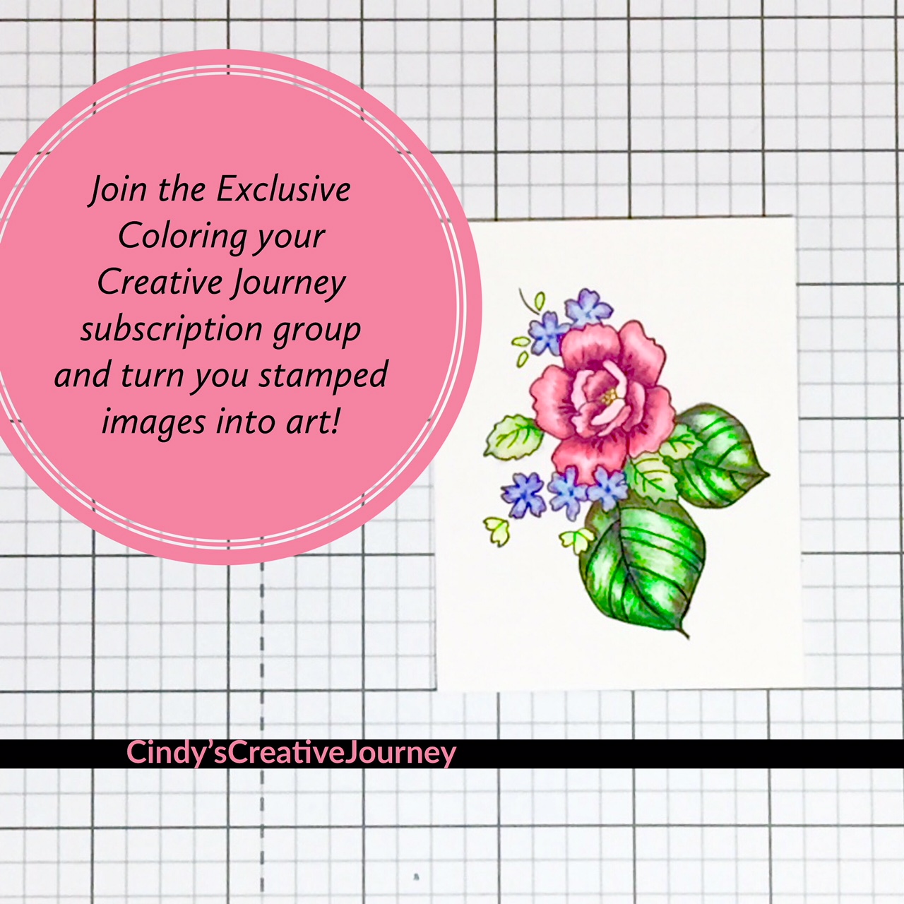 Coloring Your Creative Journey, an Exclusive Subscription Group