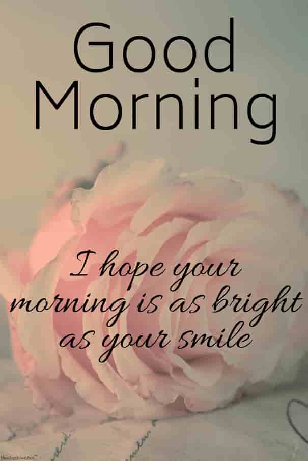 Image result for wednesday good morning messages