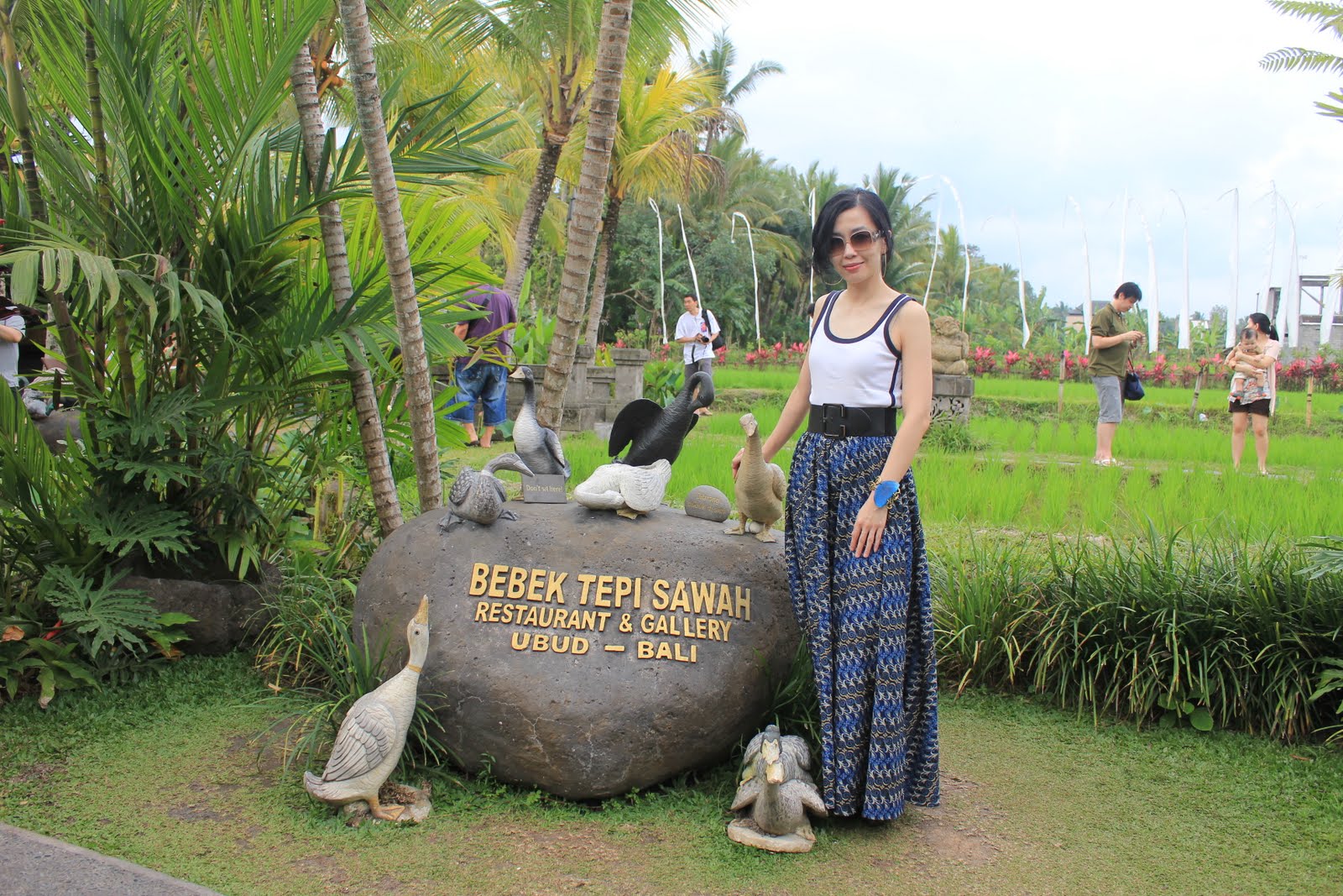 nancychiang Bebek Tepi Sawah (Bali)