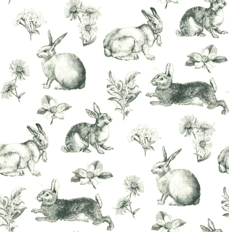 Rabbit Wallpaper For Walls | Important Wallpapers