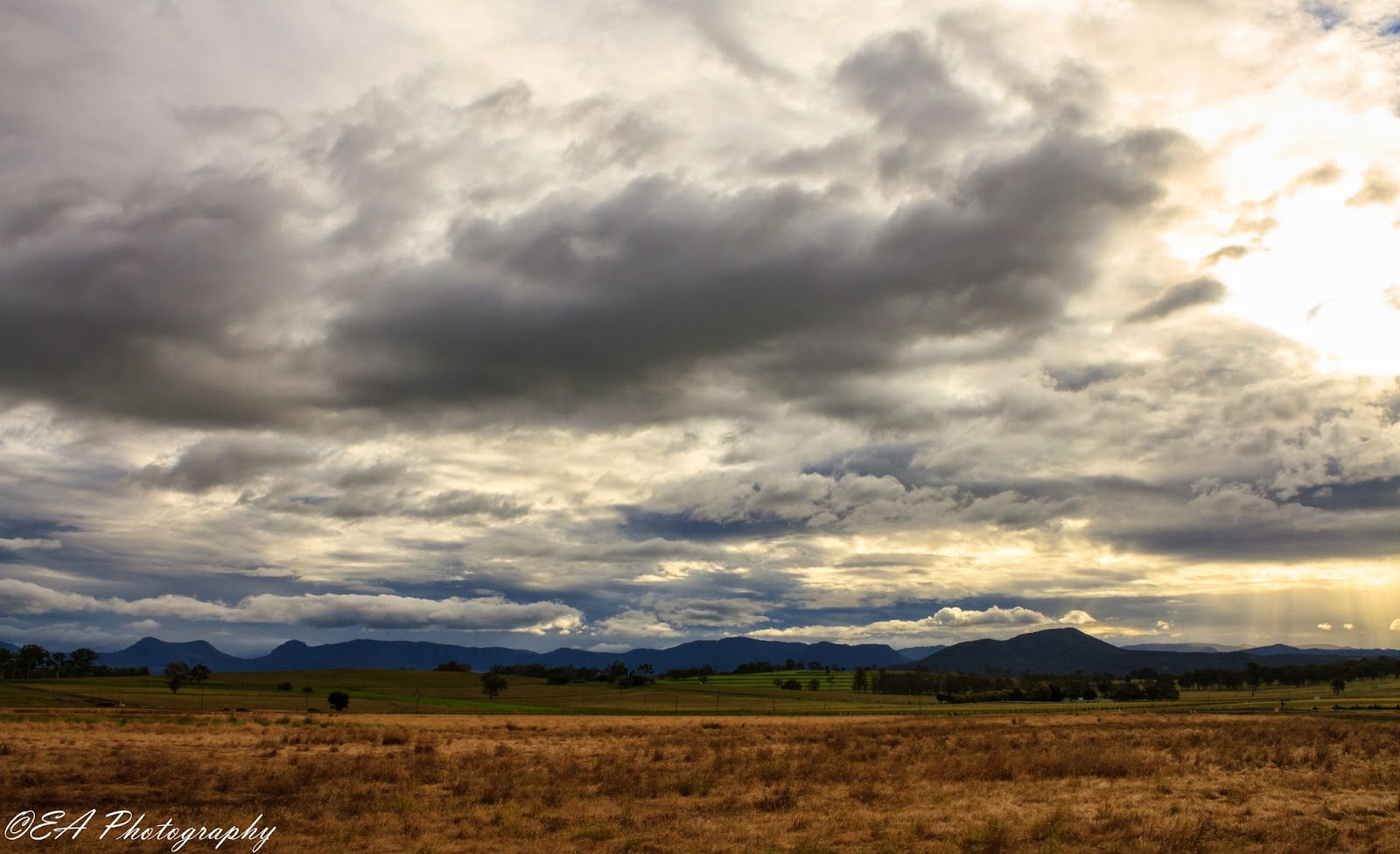 The Greatest of These is LOVE Sunflower Fields near Warwick, QLD