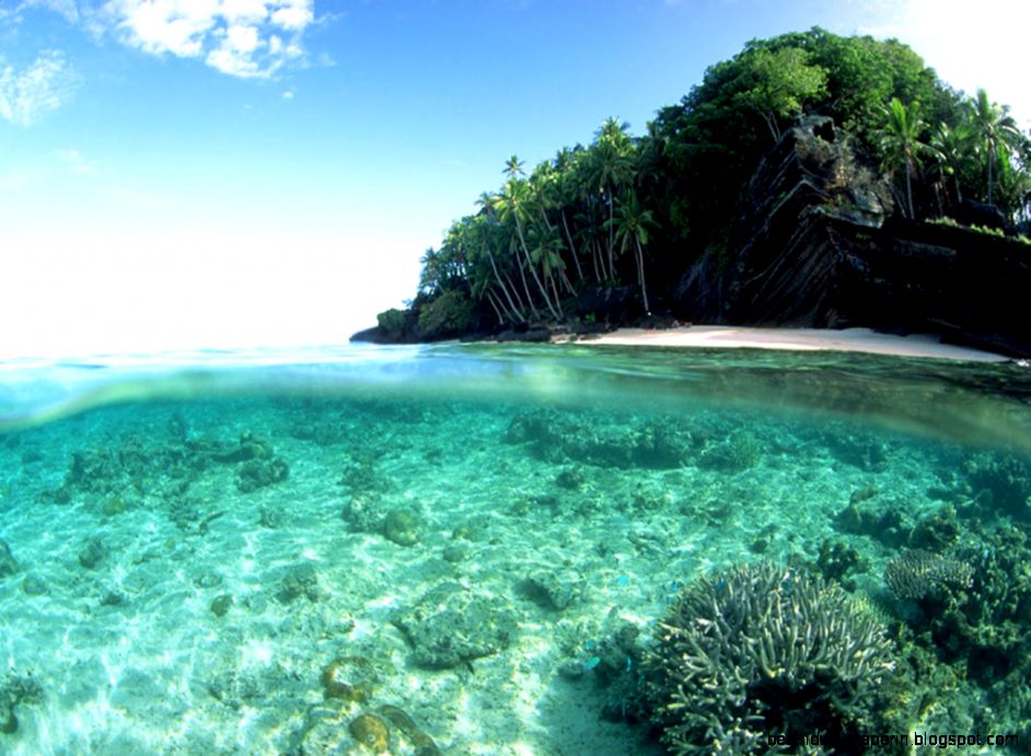 Top Tropical Wallpapers Desktop Wallpapers