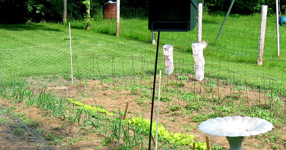 The Beginning Farmer's Wife Gardening To Feed a Family