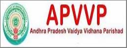 APVVP 10 Civil Assistant Vacancies Recruitment 2017