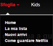 come funziona netflix