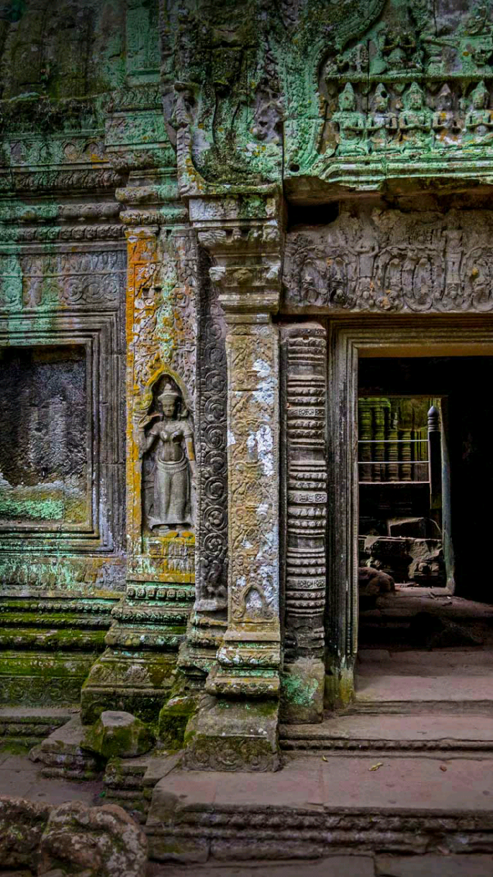 29 Most Beautiful Bing Wallpapers For Android Phones Tech Viola