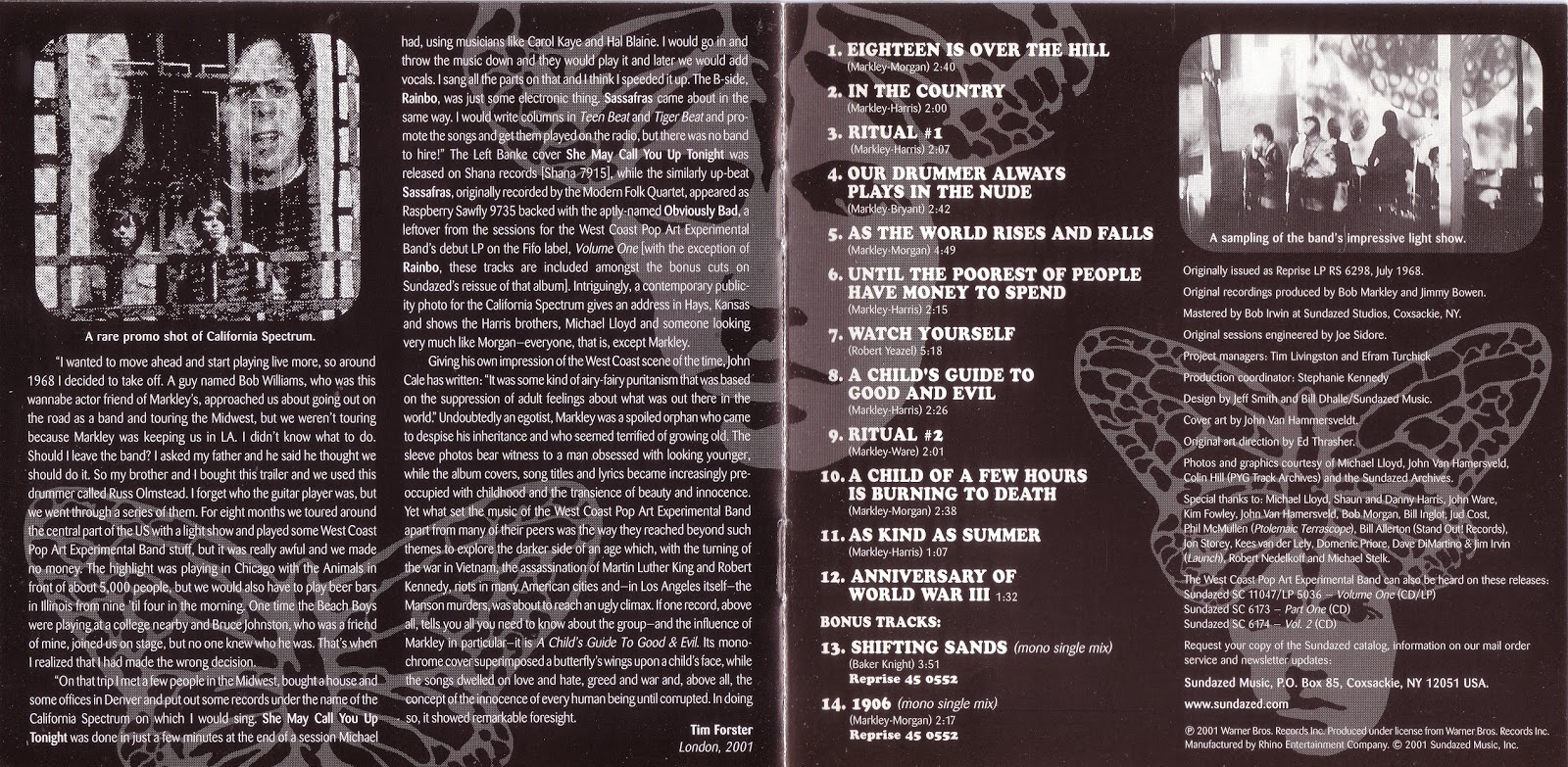 Pop On The Run Psychedelic Pop, Pop Rock The West Coast Pop Art