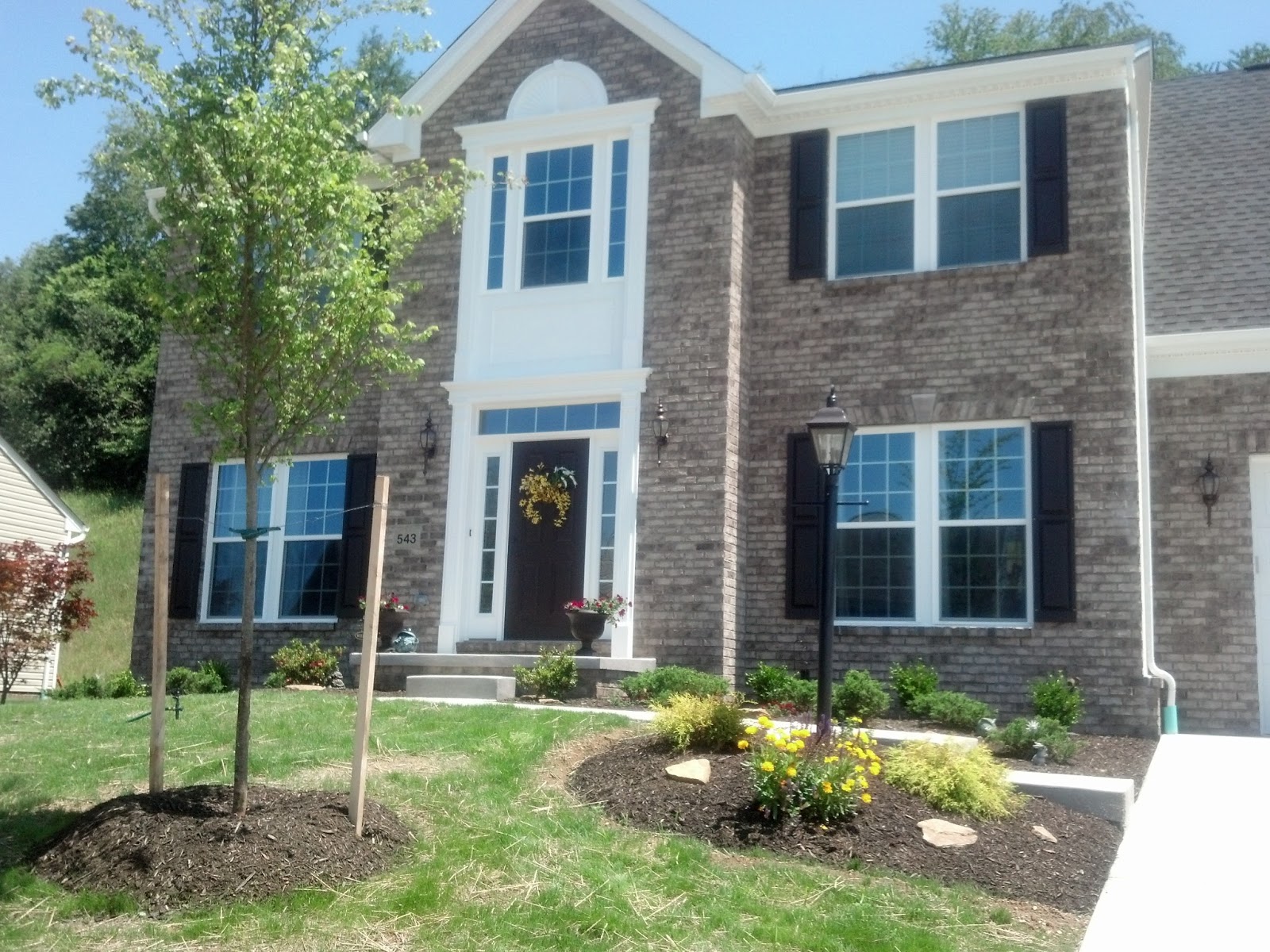 Savoy Ryan Home Green but striving for greener only 15 day in! PICS