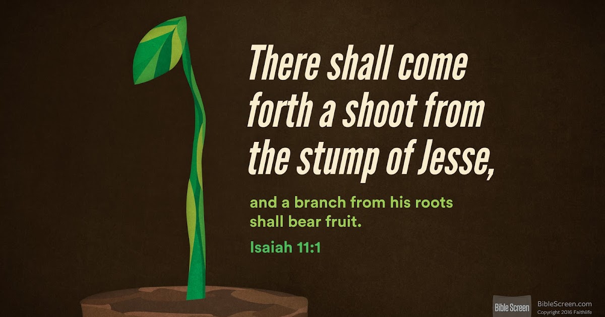 Jesus The Way The Truth The Life Isaiah 11 1 5 The Character Of 