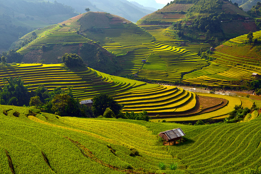 VIETNAM Rice Terrace Fields in Mu Cang Chai Destinations 21