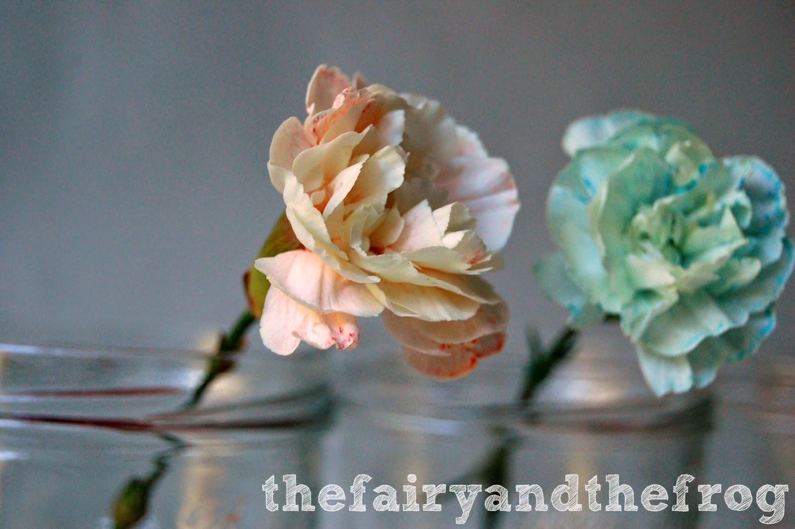 The fairy and the frog