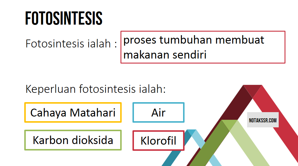 Proses Hidup Tumbuhan Tahun 4 / Proses hidup tumbuhan tahun 4.  ngaiyelz