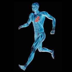 olahraga untuk [penderita sakit jantung, tips dan artikel seputar [enyakit jantung, gambar orang sakit jantung