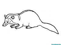Badger Coloring Pages Printable