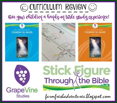 Grapevine Studies: Bible Curriculum Review