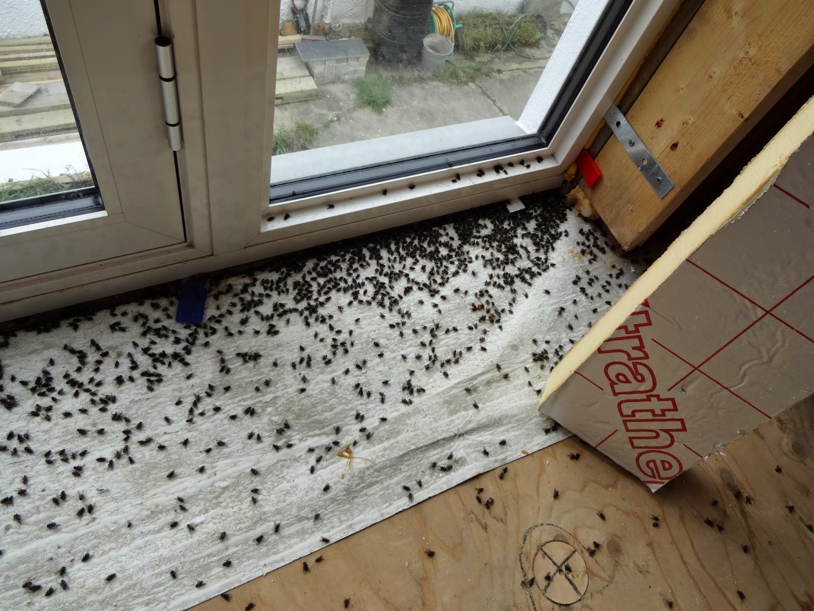 V&A's Home Build Cluster flies