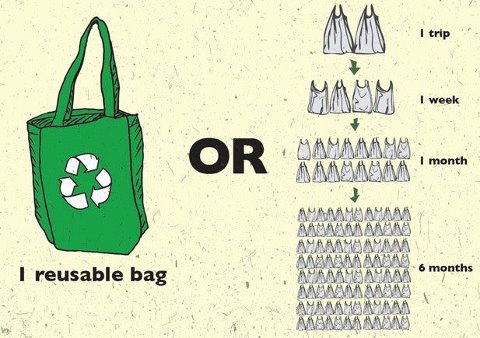 Progressive Charlestown: Ban the bag?