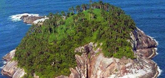 ''Lugar que se for, provavelmente morrerá.''  Ilha de Queimada Grande, São Paulo.